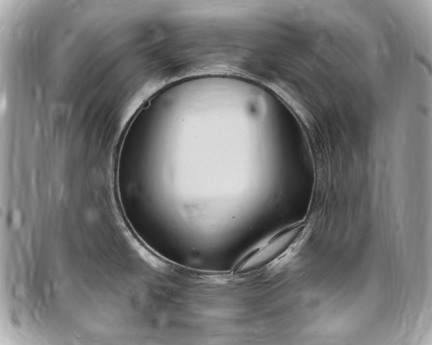 X0000096431438200802071715