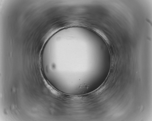 X0000096431439200802071715