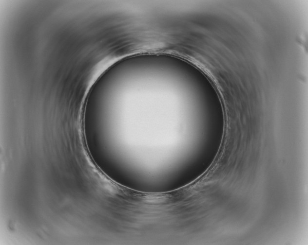 X0000096431440200802071715