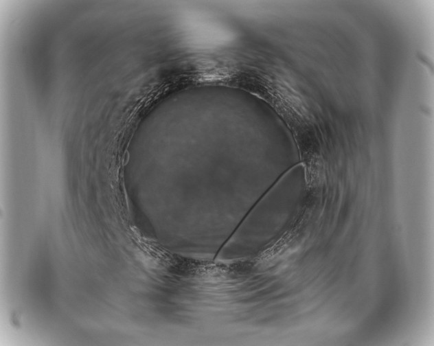 X0000096431441200802071715