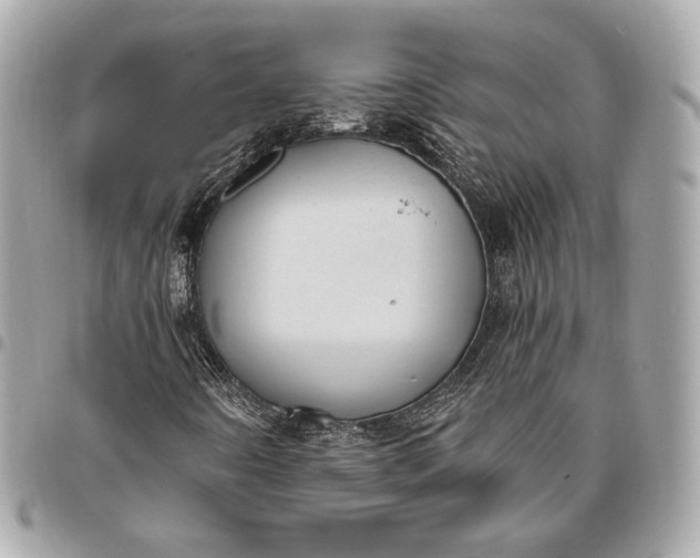 X0000096431442200802071715