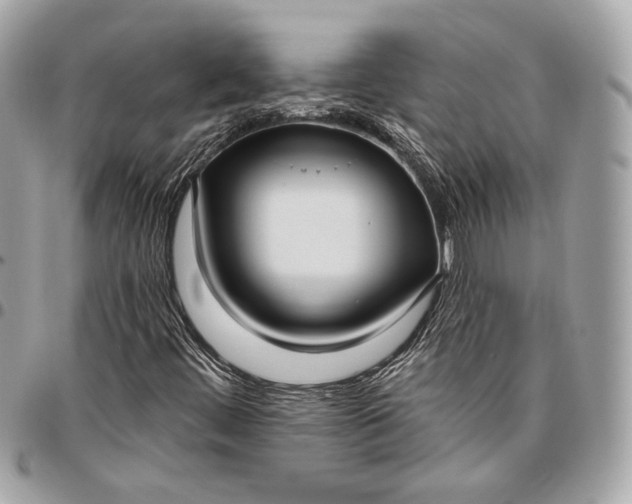 X0000096431444200802071715