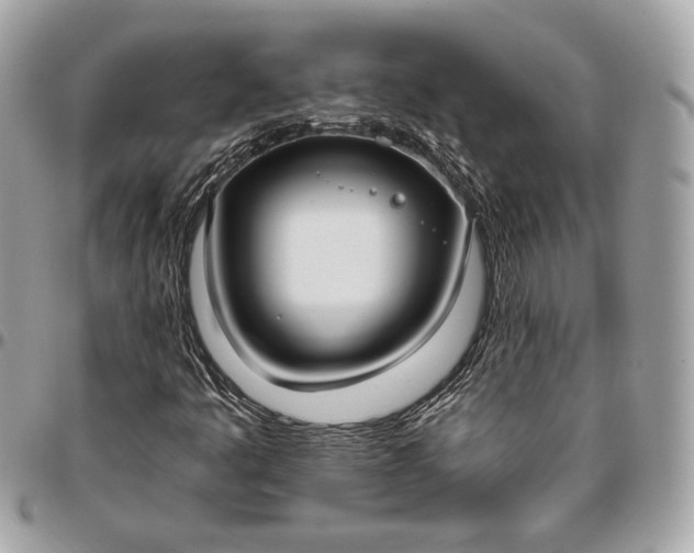 X0000096431445200802071715
