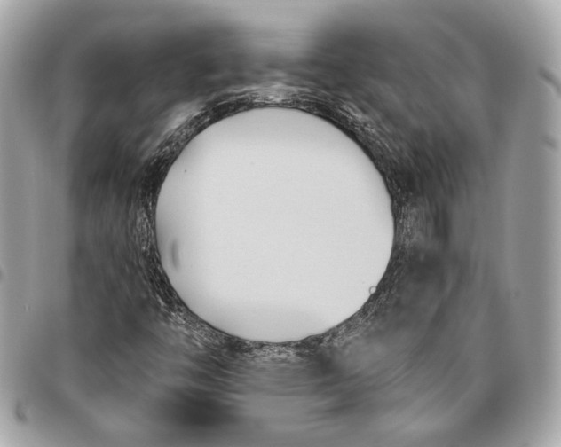 X0000096431446200802071715