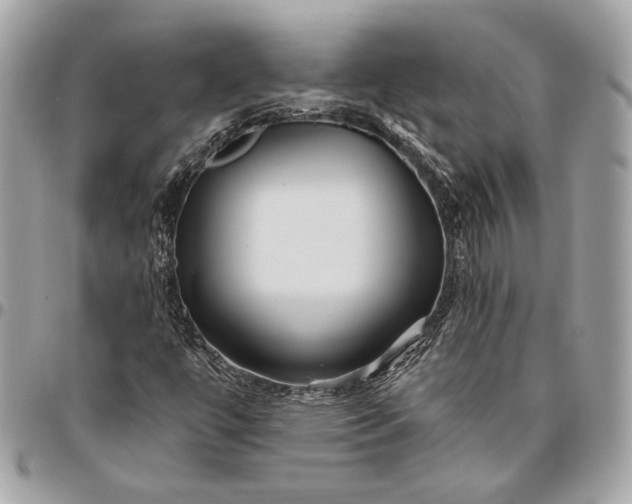 X0000096431447200802071714