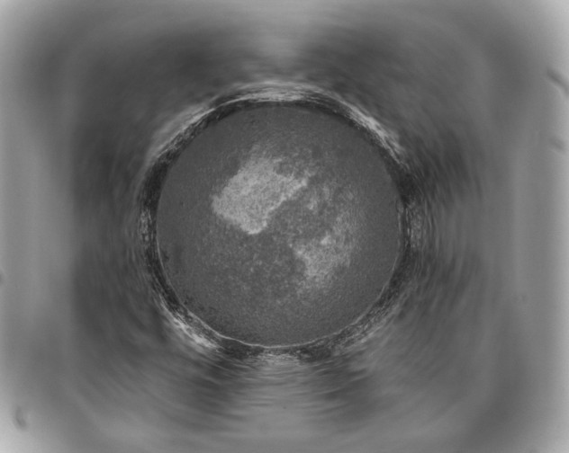 X0000096431448200802071714
