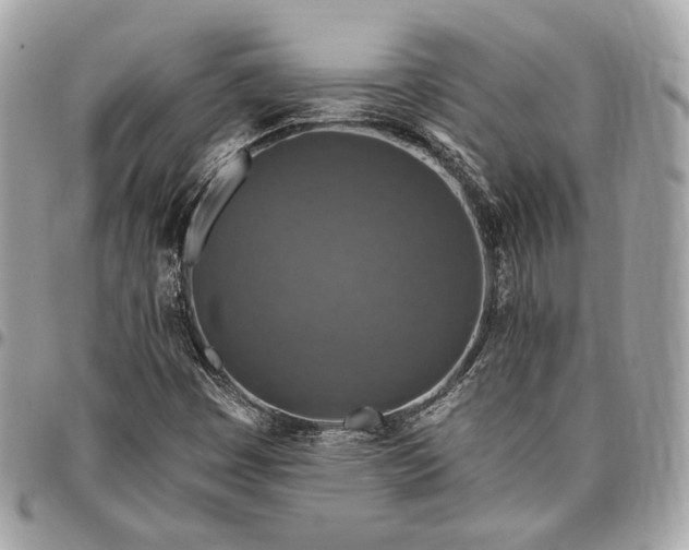 X0000096431449200802071714