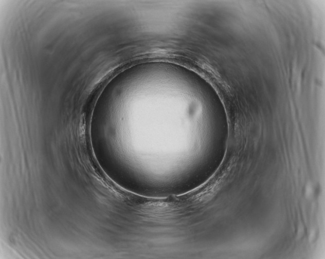 X0000096431450200802071714