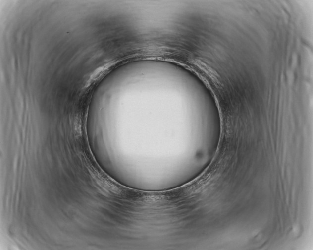 X0000096431451200802071714
