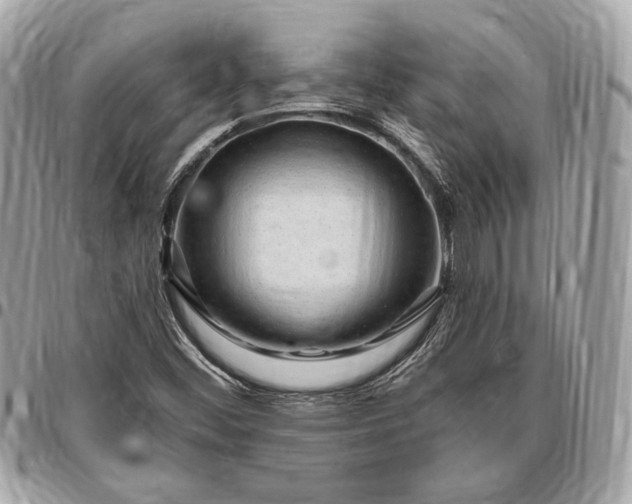 X0000096431452200802071714