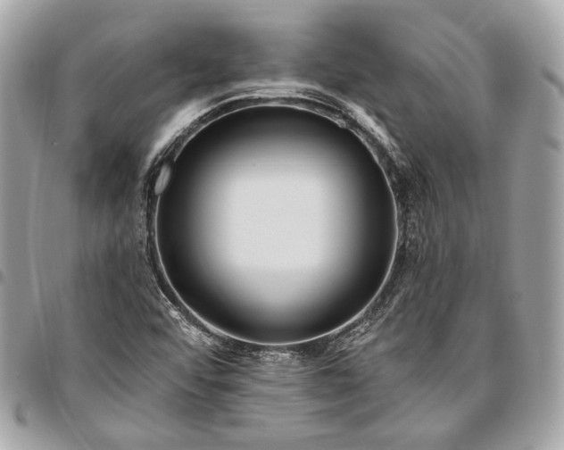 X0000096431456200802071714