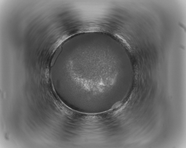 X0000096431457200802071714