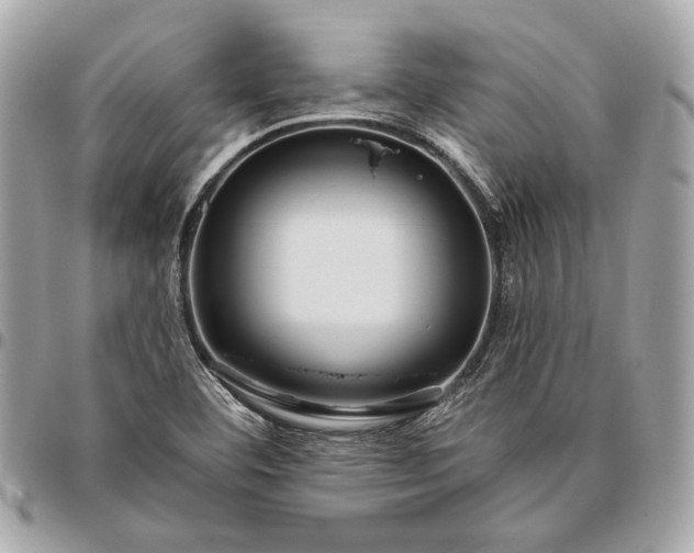X0000096431460200802071714