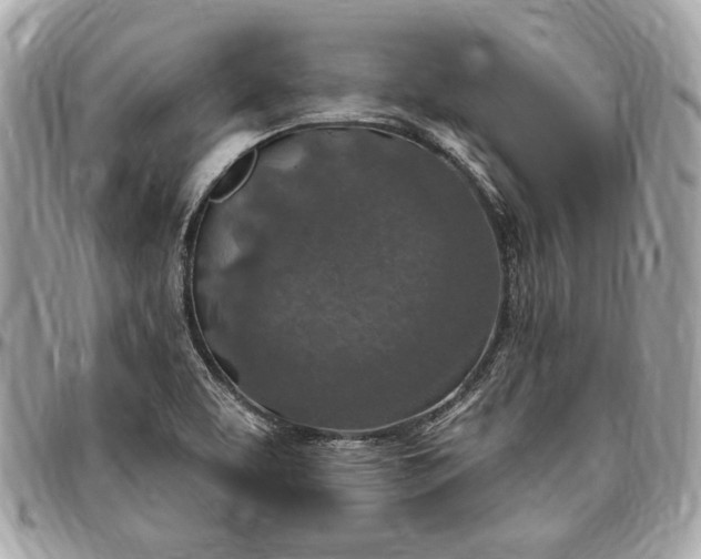 X0000096431463200802071714