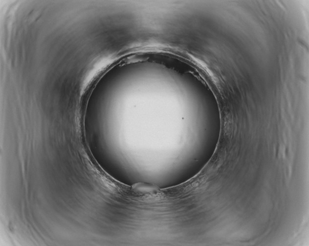 X0000096431464200802071714