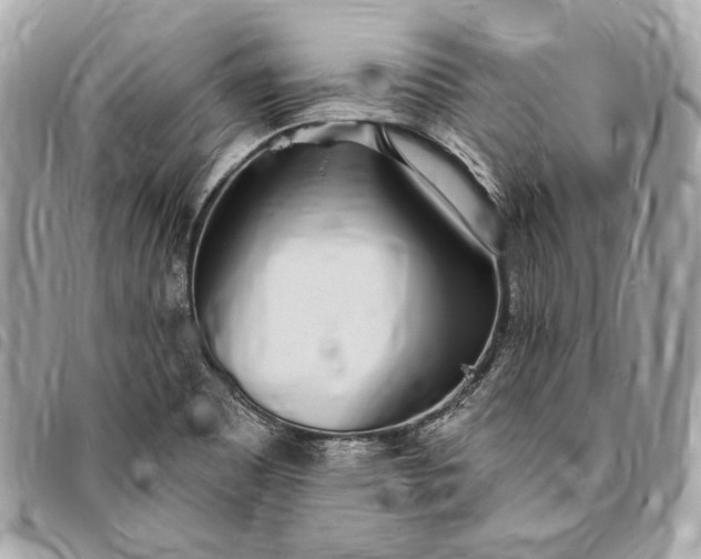 X0000096431465200802071714