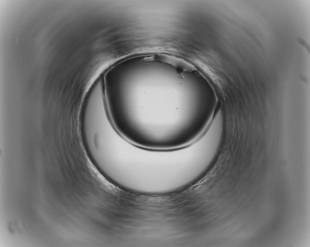 X0000096431468200802071714