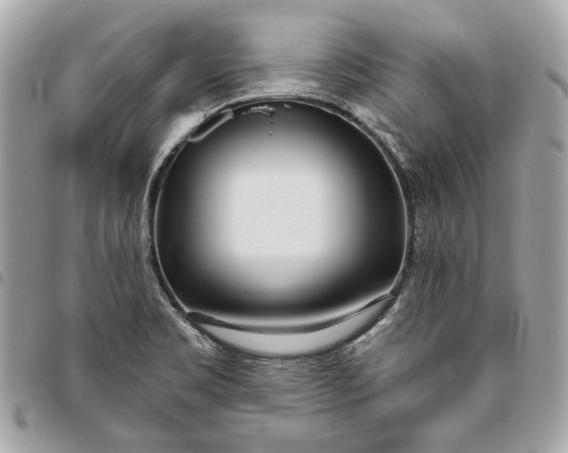 X0000096431469200802071714