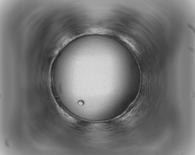 X0000096431471200802071714