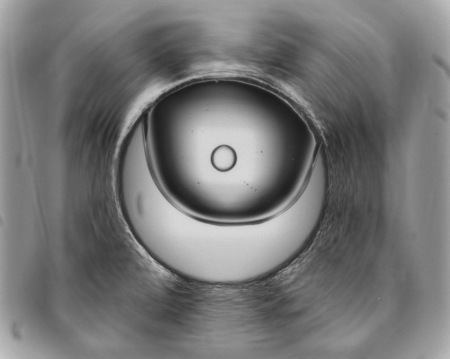 X0000096431472200802071714