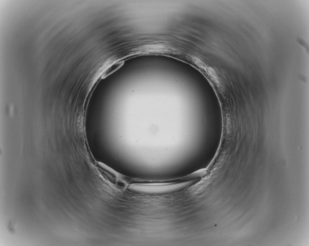 X0000096431473200802071714