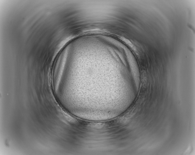 X0000096431474200802071714