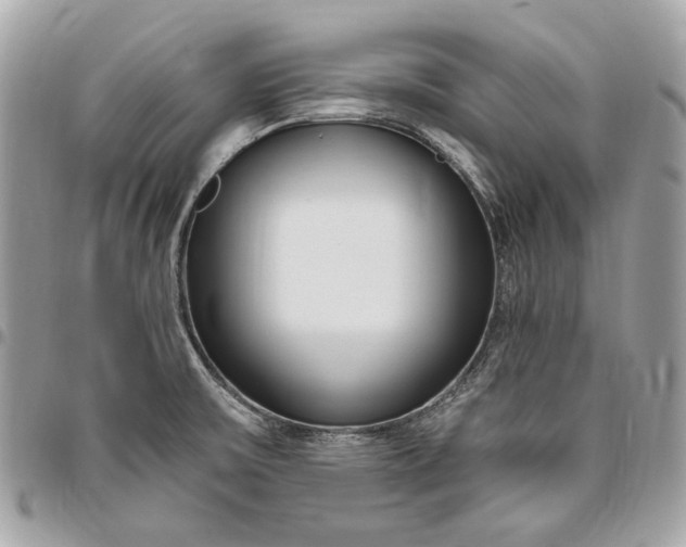 X0000096431475200802071714