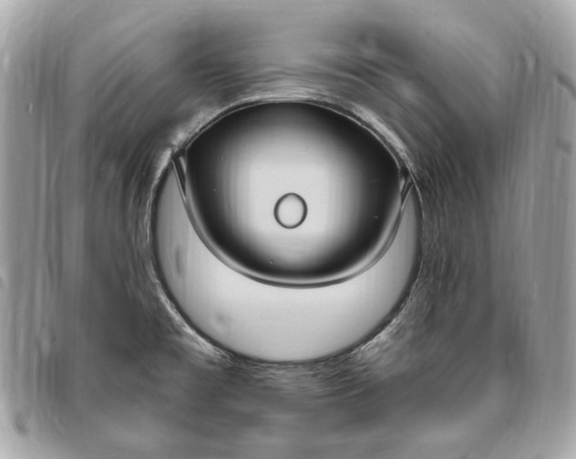 X0000096431477200802071714