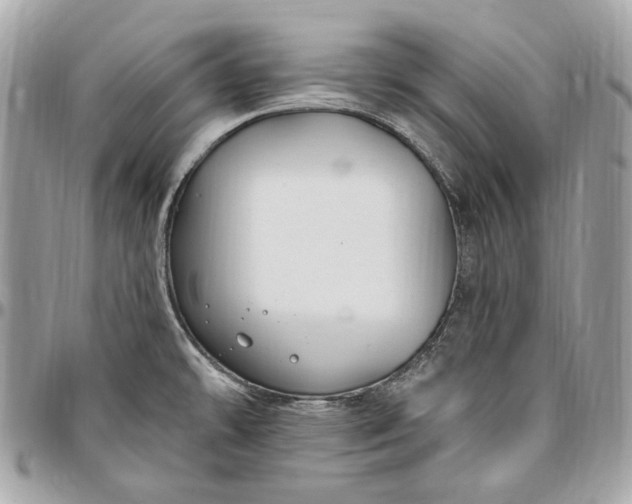 X0000096431478200802071714
