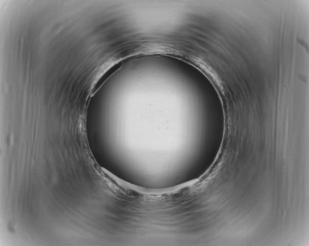 X0000096431481200802071714