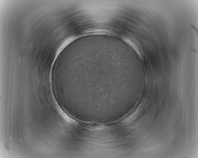 X0000096431482200802071714