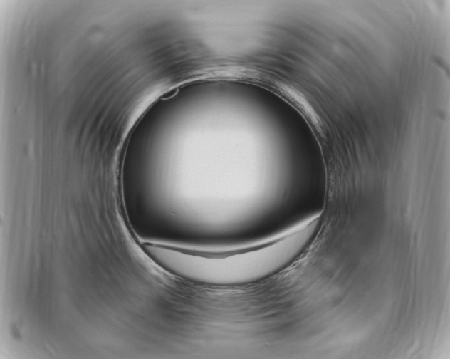 X0000096431483200802071714