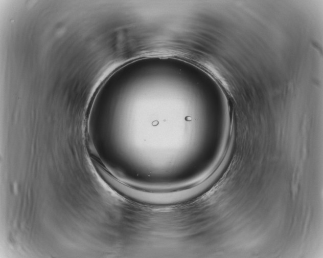 X0000096431484200802071714