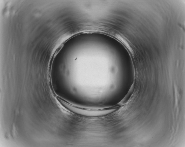 X0000096431485200802071714