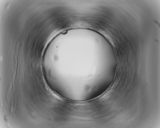 X0000096431486200802071714