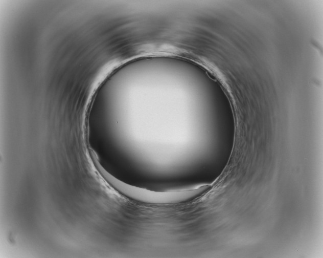X0000096431488200802071714