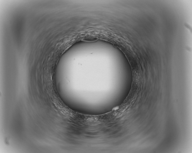 X0000096431489200802071713
