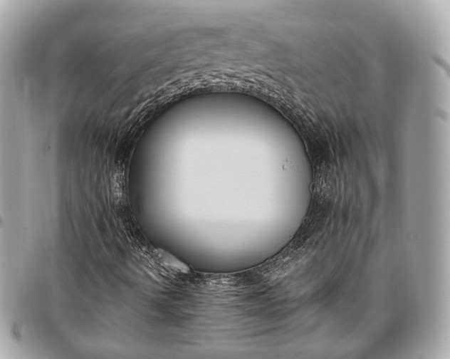 X0000096431490200802071713