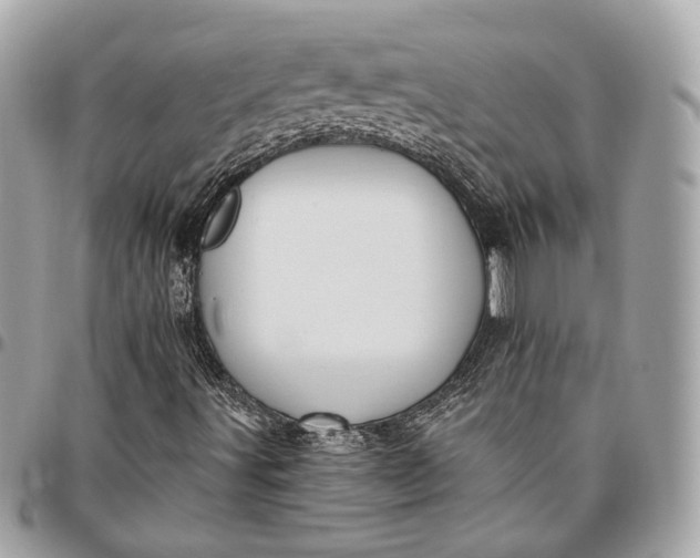 X0000096431491200802071713
