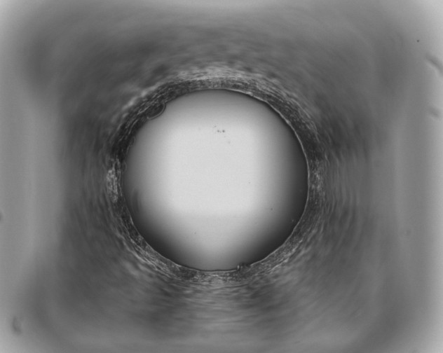 X0000096431493200802071713