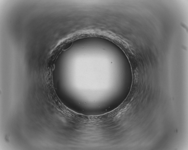 X0000096431494200802071713