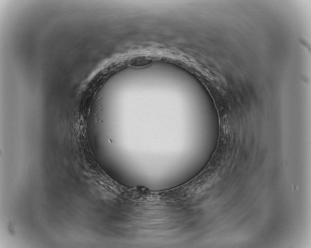 X0000096431495200802071713