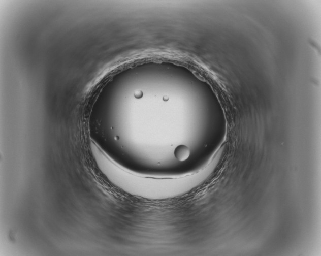 X0000096431496200802071713