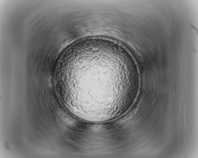 X0000096431497200802071713