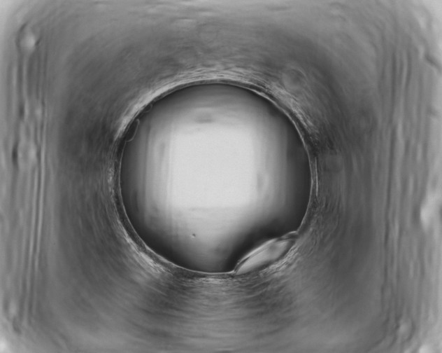 X0000096431500200802071713