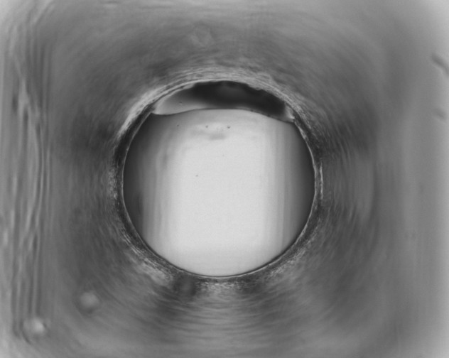X0000096431501200802071713