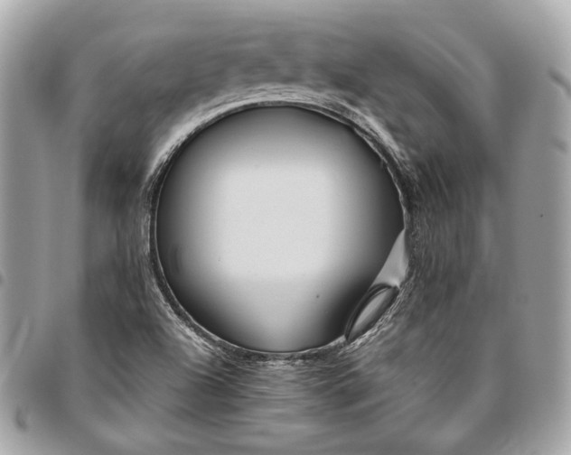 X0000096431504200802071713