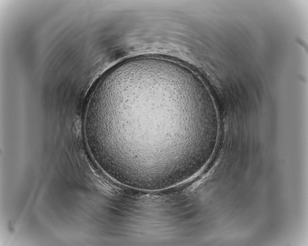 X0000096431505200802071713