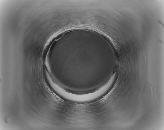 X0000096431506200802071714