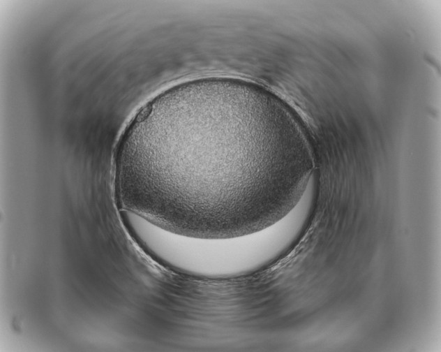 X0000096431508200802071714